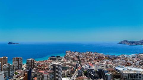 Photo 4 of Premises to rent in Juzgados - Plaza de Toros, Alicante