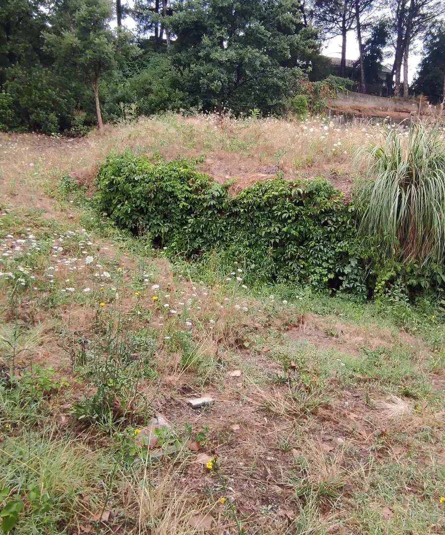 Residential for sale in Riells i Viabrea