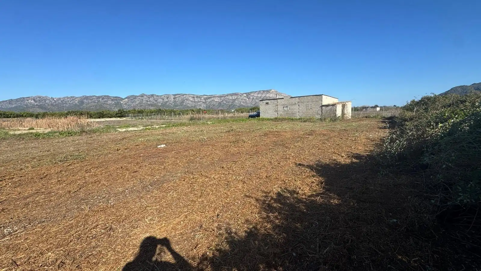 Finca rústica en venta en Simat de la Valldigna