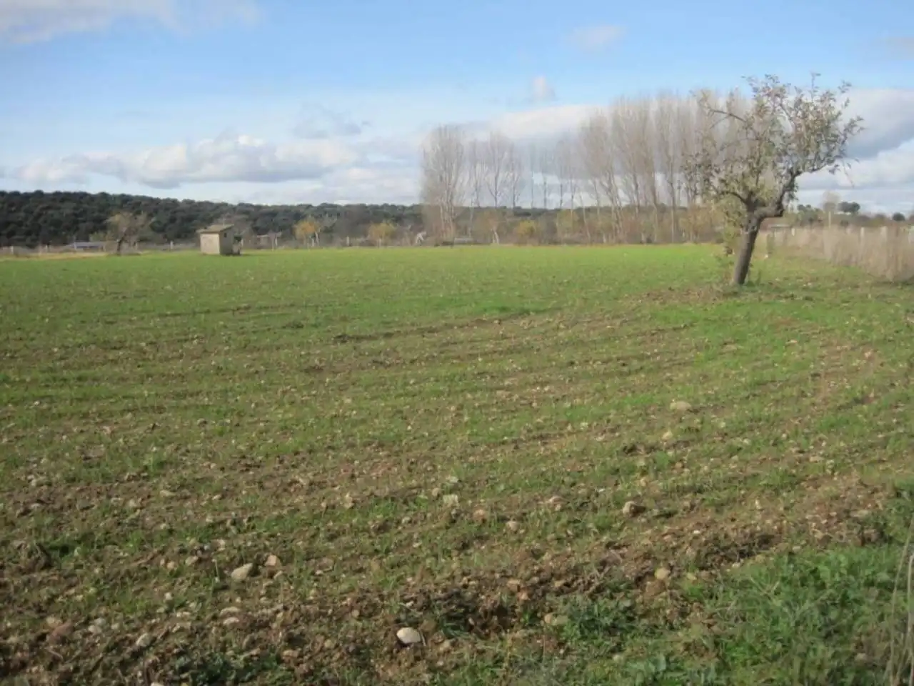 Terreno residencial en venta en Carretera AGUEDA, imagen 9