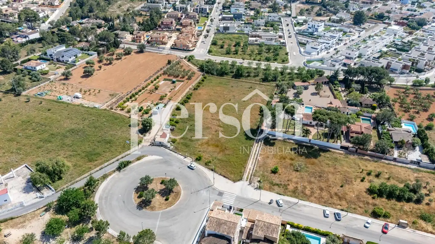 Terreno residenziale in vendita a La Conarda - Montesano, imagen 3