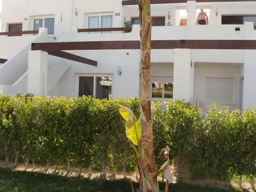 Pis amb piscina en venda a Av. de la Alcanara, 1, 2