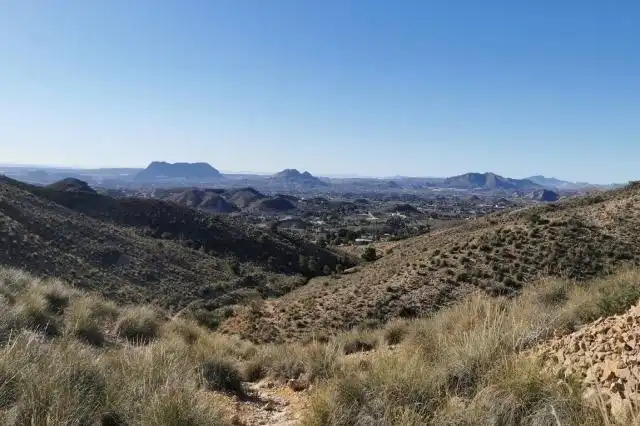 Rural land for sale in Centro, imagen 2