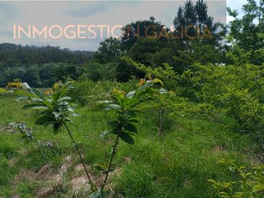 Rural land for sale in Lugar Outeiro