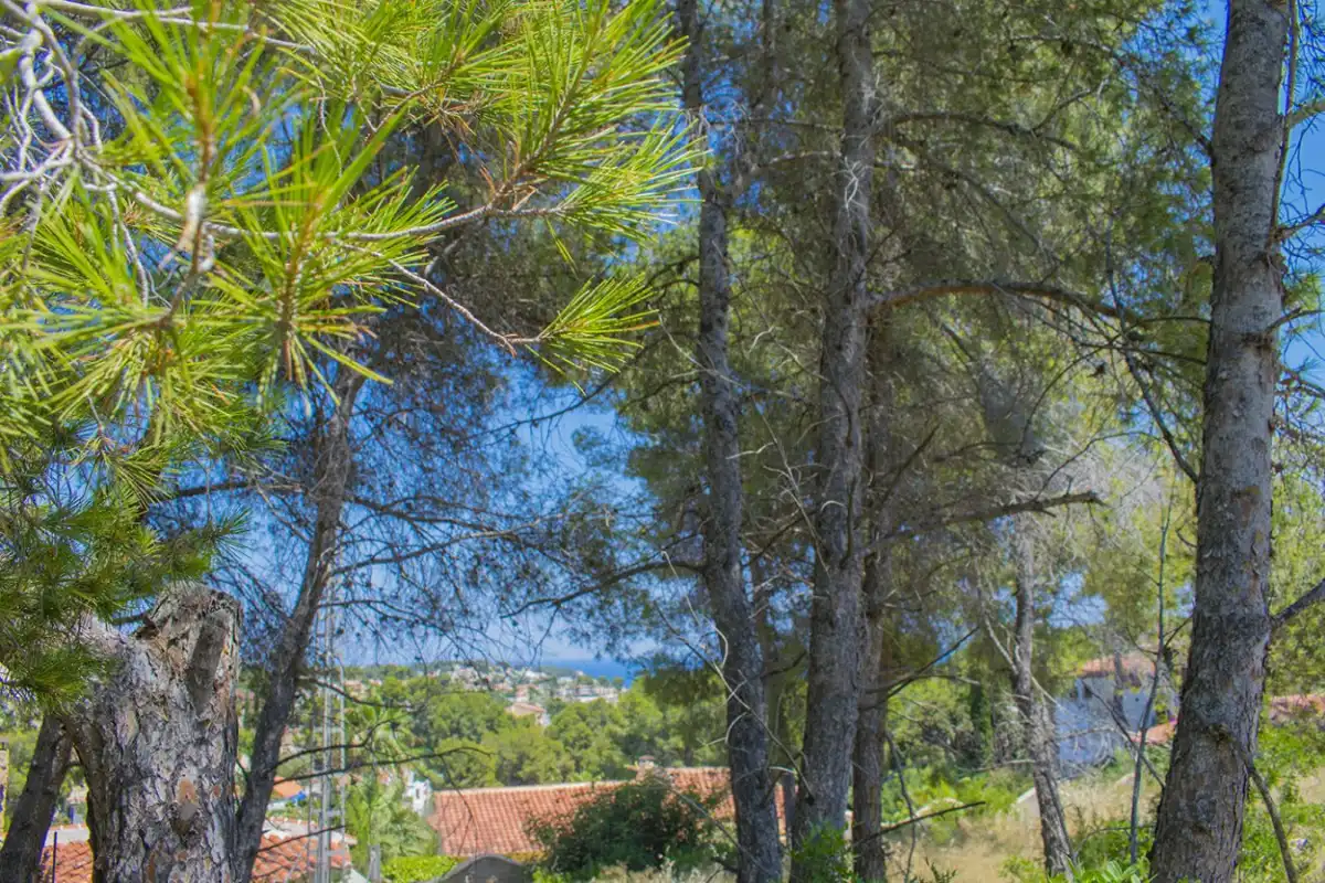 Wohnbaugrundstück zum Verkauf in La Fustera, imagen 10