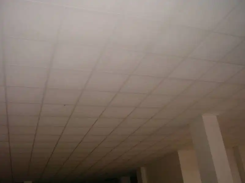 Business premises to rent in Elche ciudad, imagen 20
