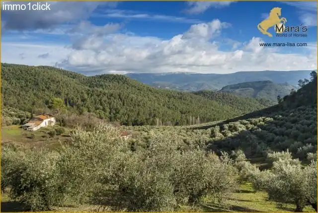 Jardí de Residencial en venda en Siles