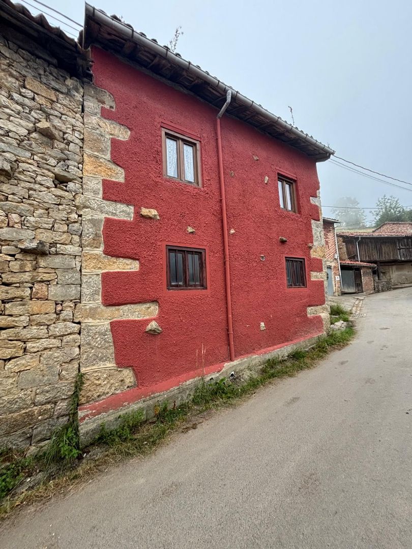 Vista exterior de Casa adosada en venda en Laviana amb Calefacció, Jardí privat i Parquet