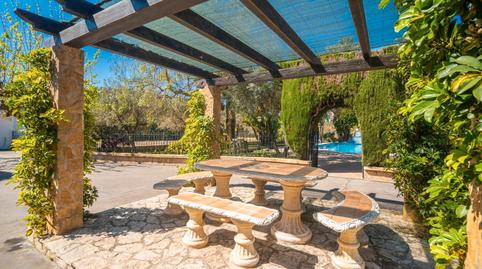 Foto 5 de Finca rústica en venda a Ciutat d'Alcúdia, Alcúdia