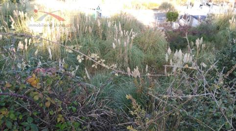 Foto 2 de Residencial en venta en Lloret Residencial - Montlloret, Girona