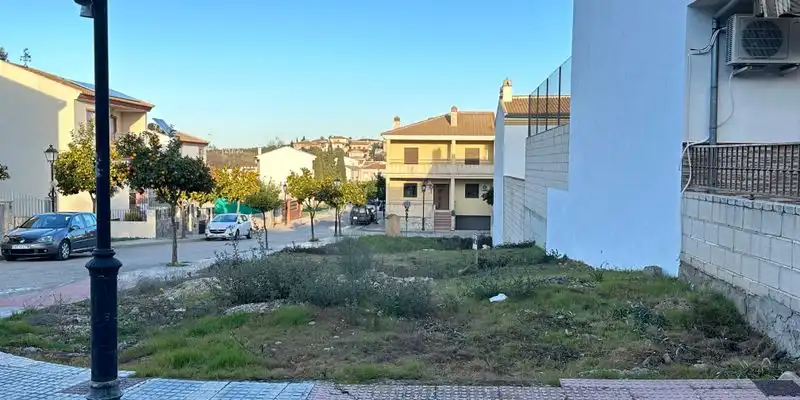 Terreny rústic en venda a Urbanización Los eucaliptos, imagen 2