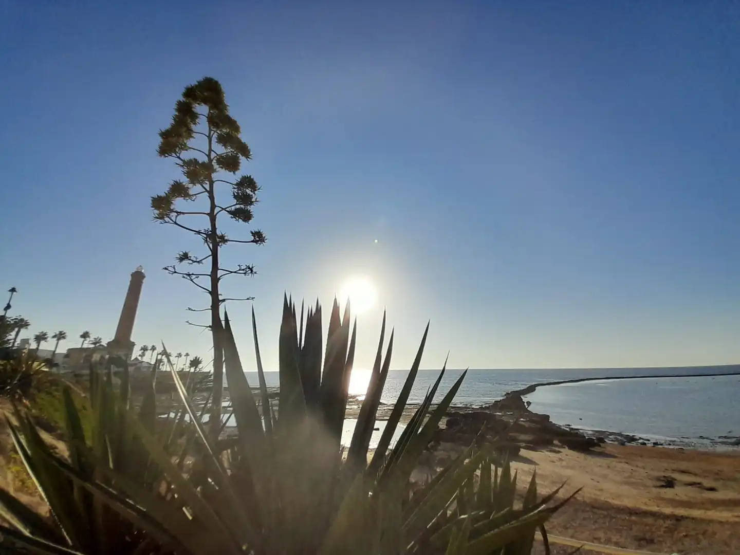 Jardín de Casa o chalet en venta en Chipiona