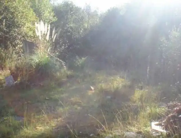 Terreno rustico in vendita a Camiño Tombo 9, imagen 7