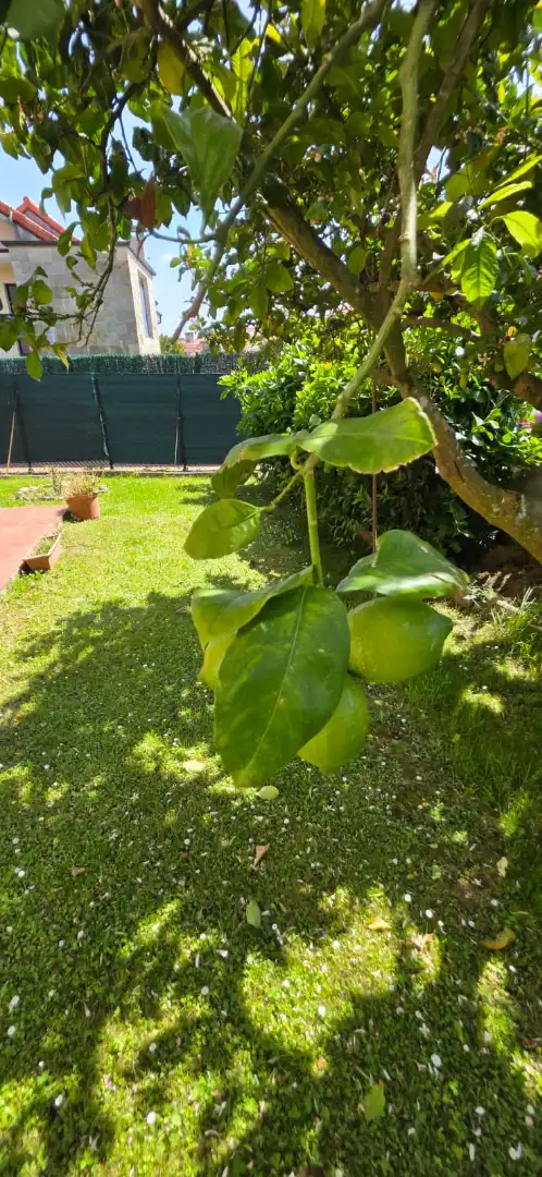 Garden of Ground floor for sale in Meruelo  with Heating, Private garden and Furnished