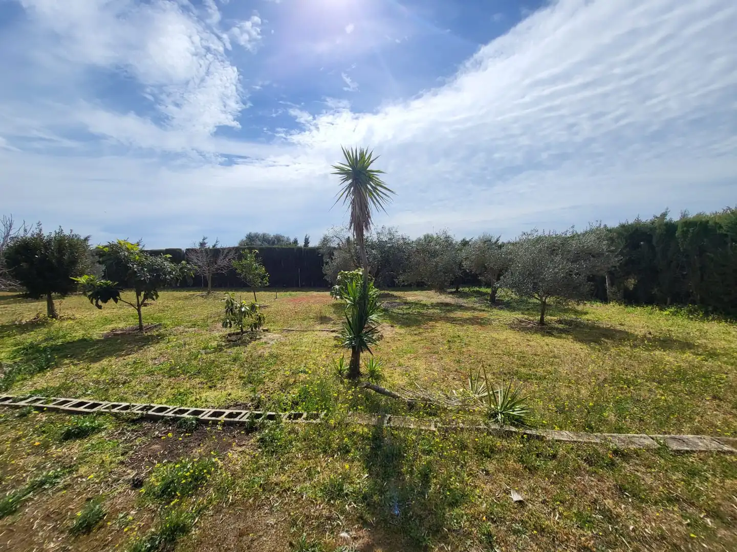 Finca rústica en venda en Medina Sidonia amb Calefacció, Jardí privat i Terrassa