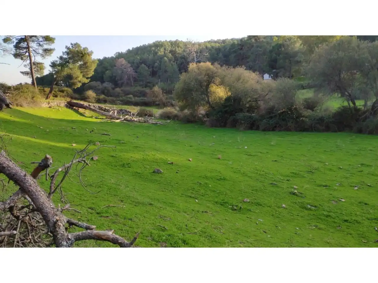 Residencial en venta en Las Navas del Marqués 