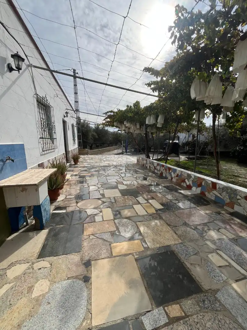Terraza de Terreno en venta en Alsodux