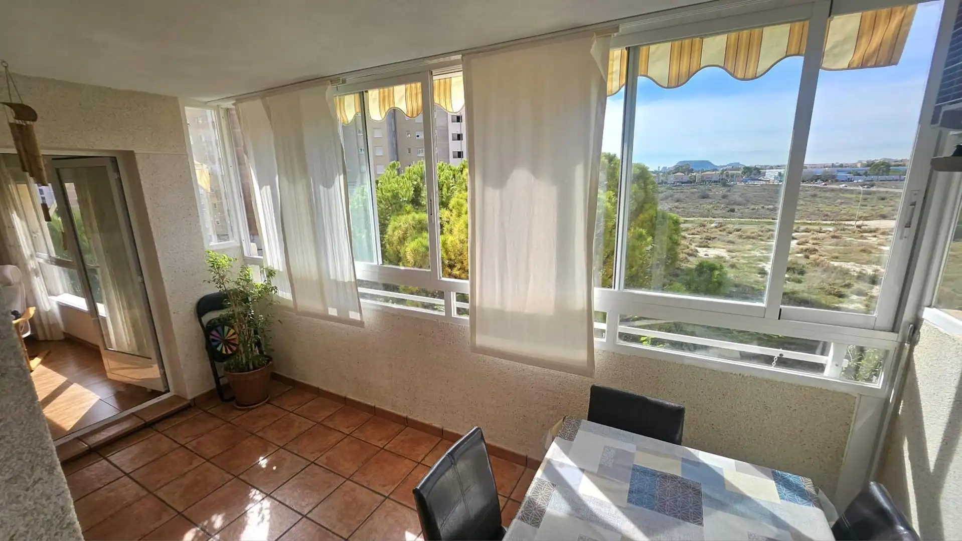 Apartments for rent in Playa Muchavista