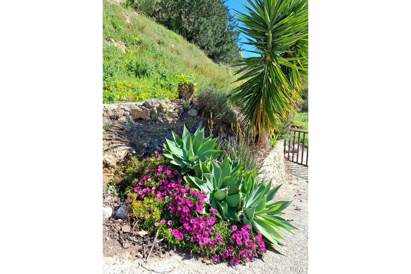 Jardín de Casa o chalet en venta en Xirles