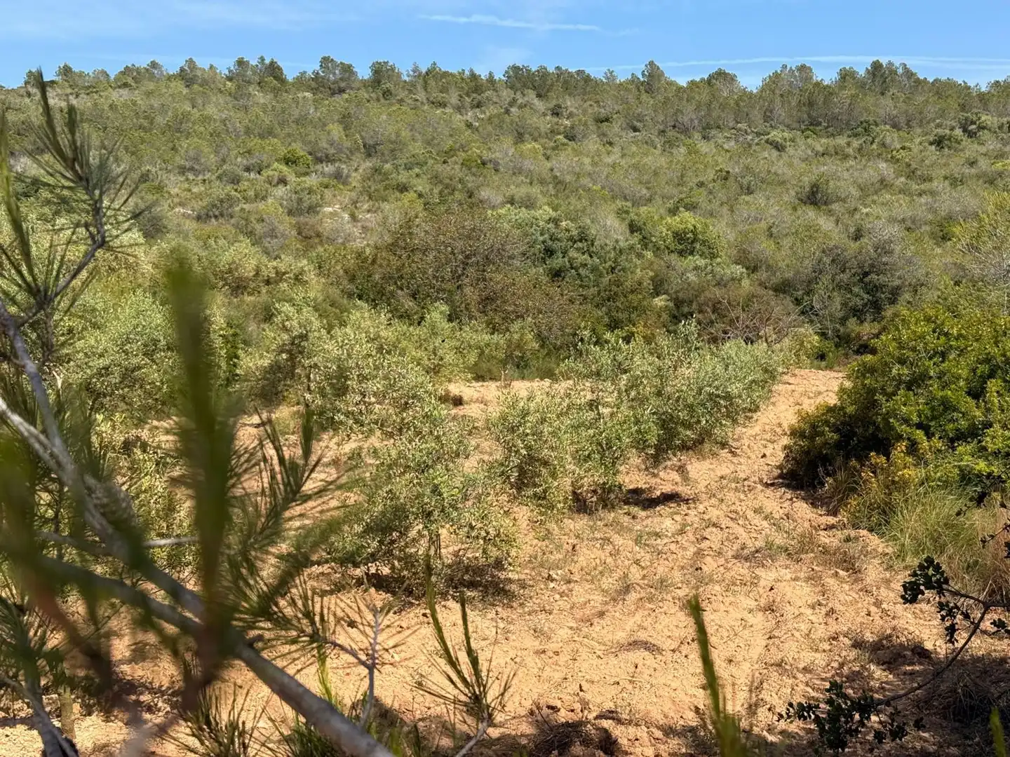 Finca rústica en venda a Vespella de Gaià