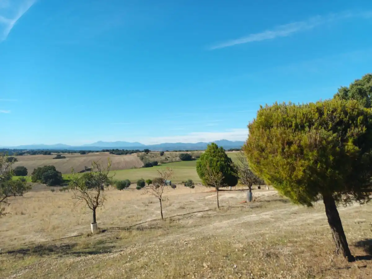Finca rústica en venta en Brunete