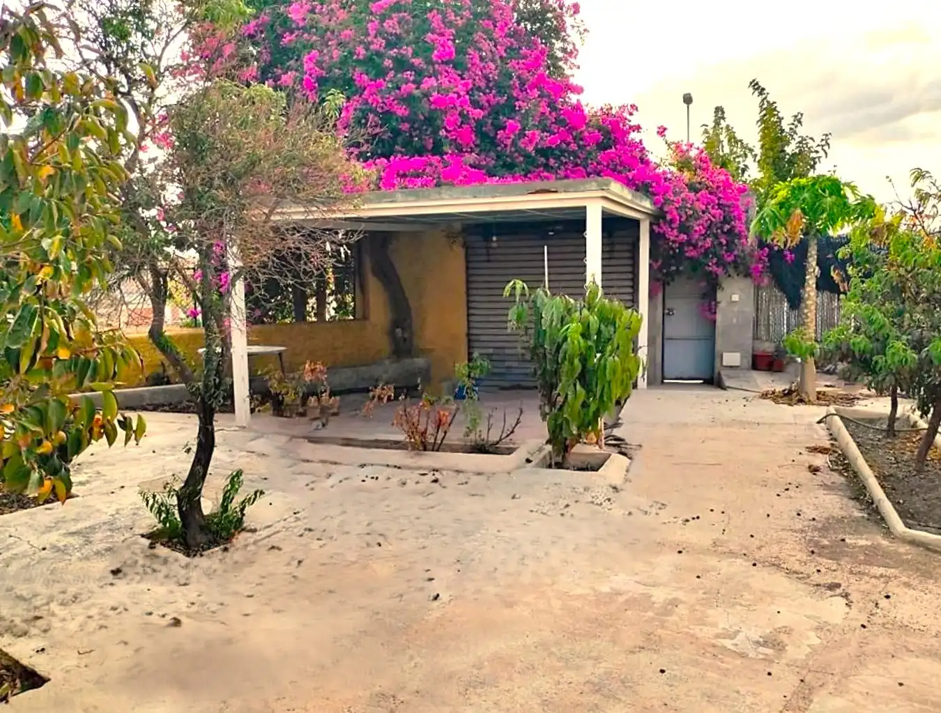Vista exterior de Casa o xalet en venda en Murcia amb Jardí privat
