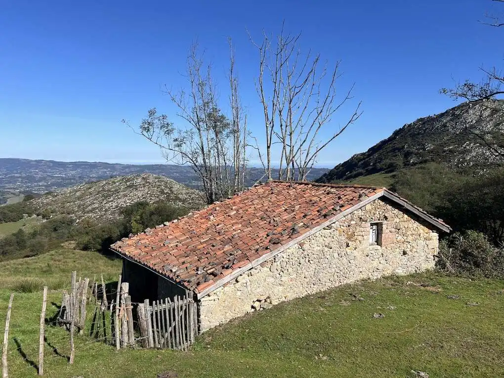 Maison à vendre à Nava, imagen 7
