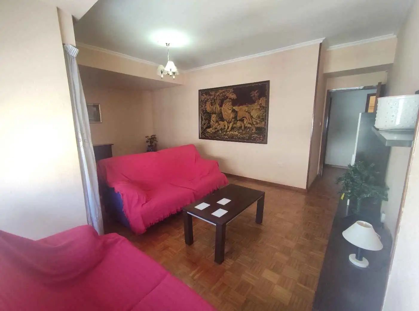 Sala d'estar de Pis de lloguer en Ourense Capital  amb Calefacció, Moblat i Balcó