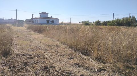 Foto 3 de Terreno en venta en Roche, Conil de la Frontera