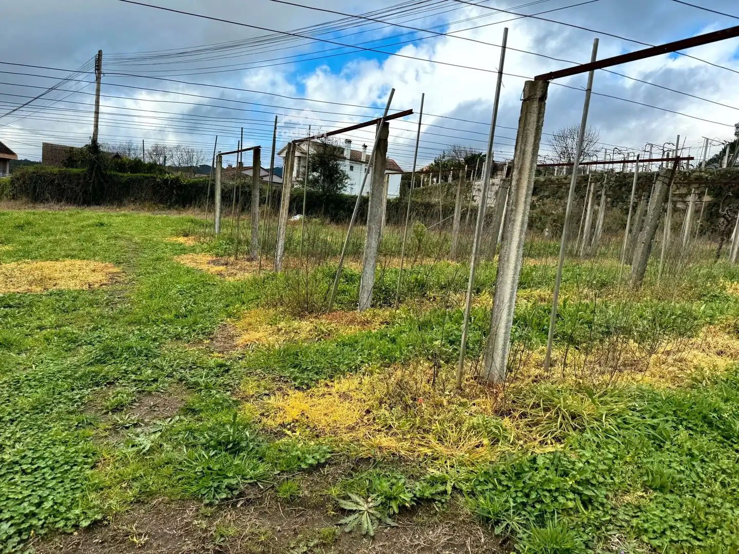 Rural land for sale in Arbo, imagen 28