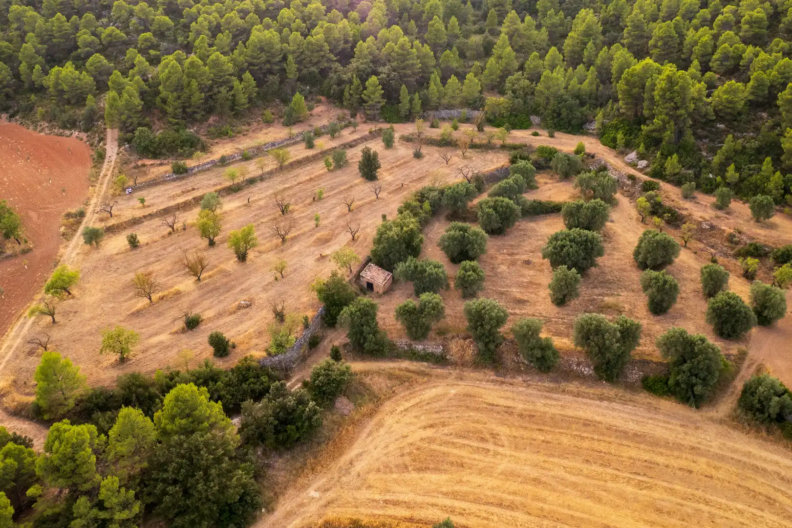 Terreni e lotti in vendita a Lledó, imagen 18