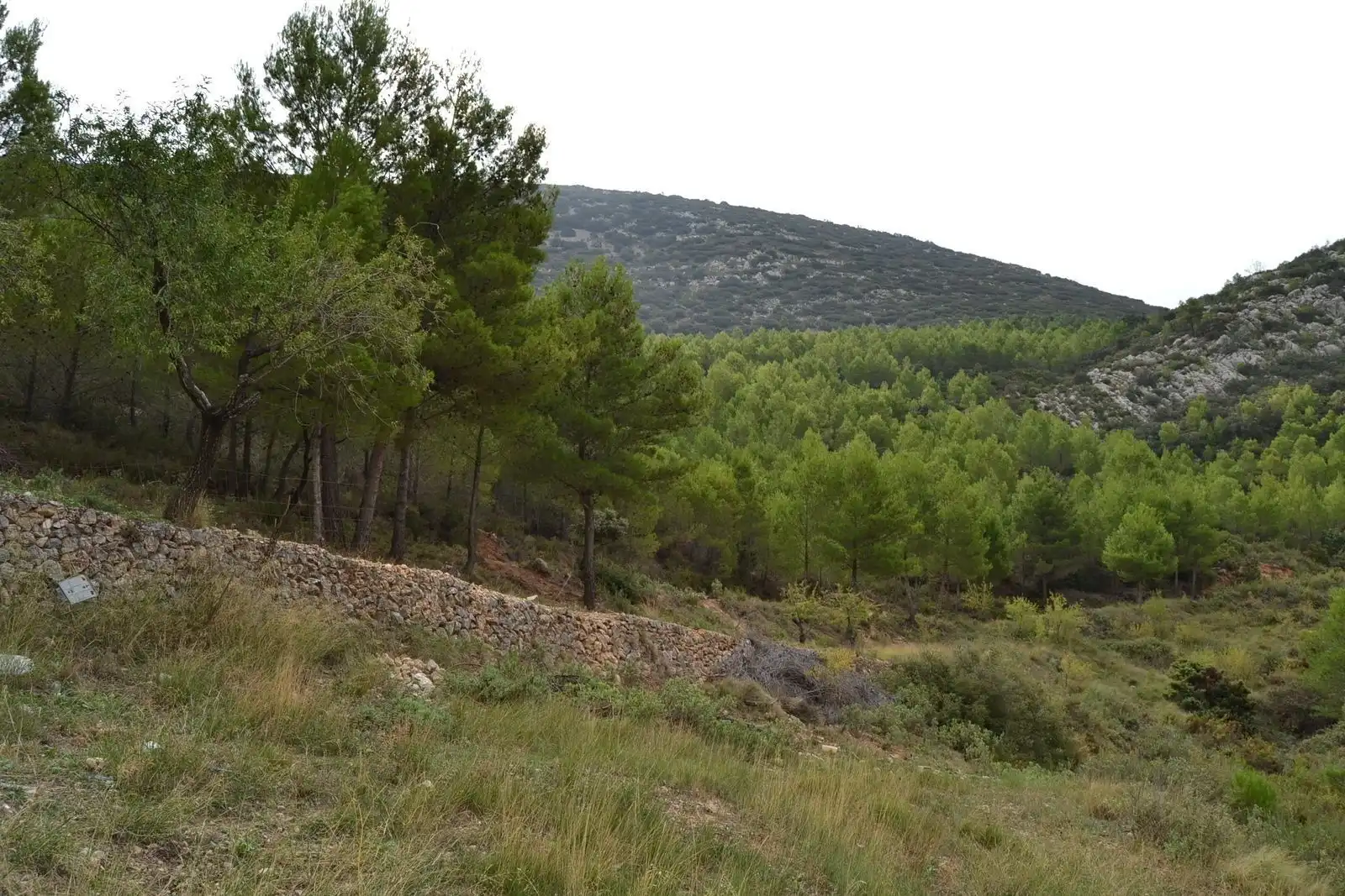 Finca rústica en venda en Sella