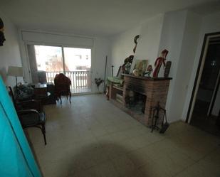 Living room of Flat for sale in Sant Pere de Vilamajor