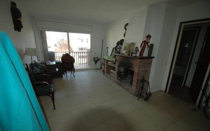 Living room of Flat for sale in Sant Pere de Vilamajor