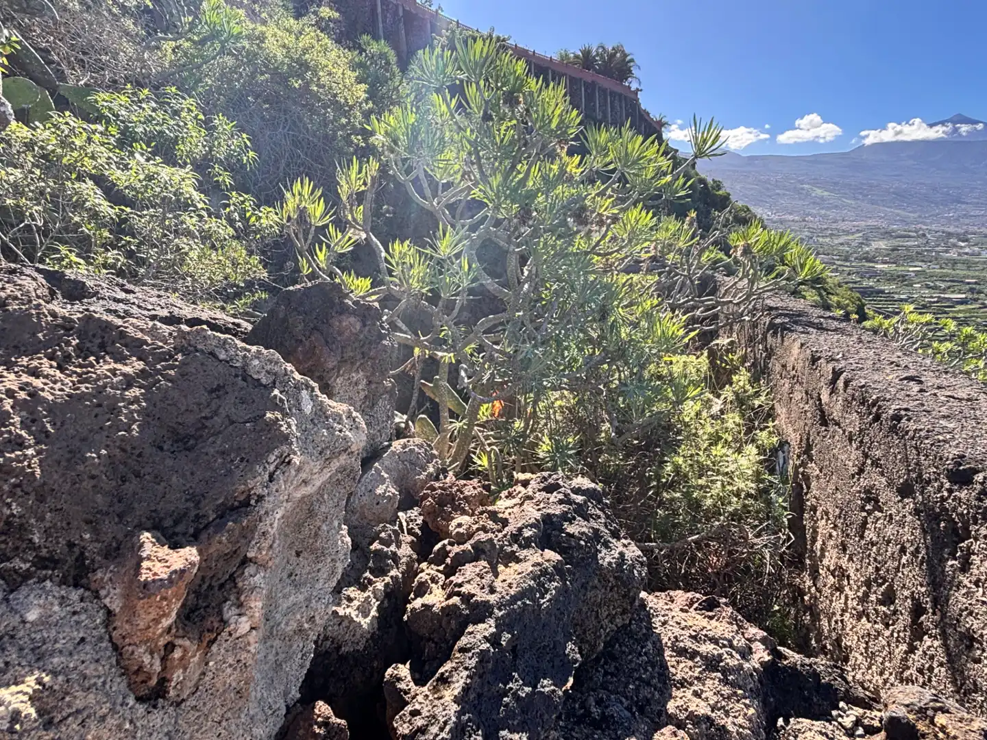 Terreno rustico in vendita a Camino de San Diego, imagen 20