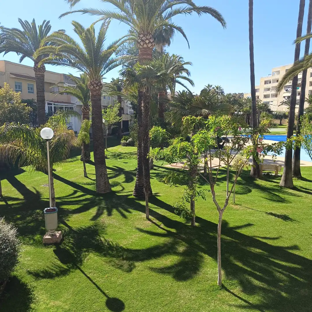 Jardín de Apartamento de alquiler en La Pobla de Farnals con Aire acondicionado, Calefacción y Jardín privado