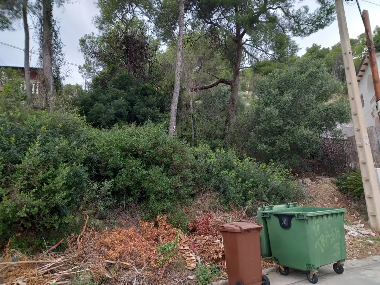 Terrain rustique à vendre à Calle velazquez 33, imagen 3