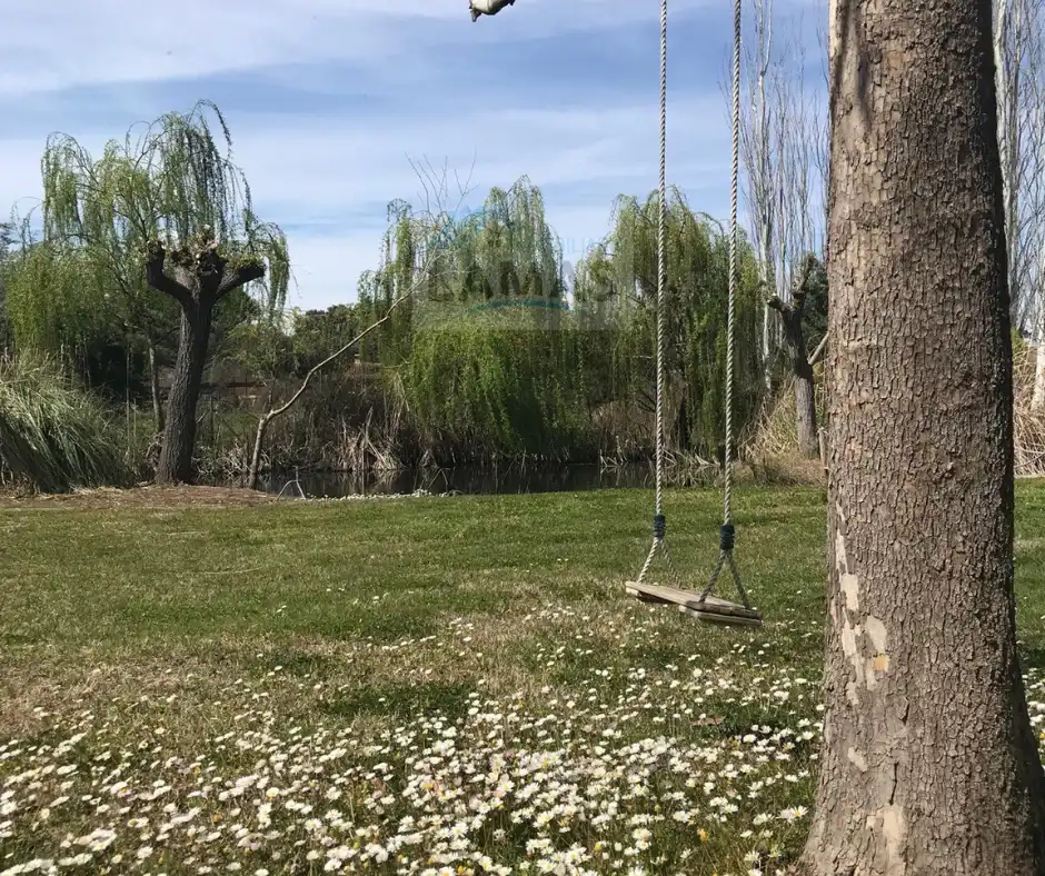 Jardí de Finca rústica en venda en Belvís de Monroy amb Aire condicionat, Jardí privat i Piscina