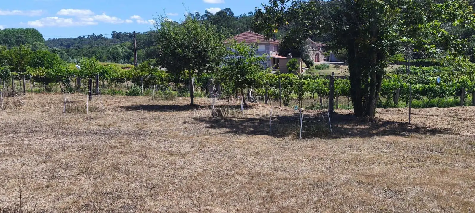 Casa amb jardí en venda a Entenza, imagen 28