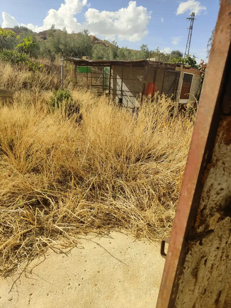 Finca rústica en venda en Cortes y Graena amb Jardí privat, Terrassa i Piscina