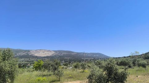 Foto 5 de Casa o chalet en venta en Ibi, Alicante