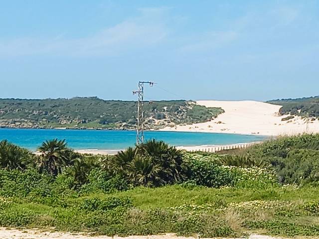 Casa-chalet en Venta en El Lentiscal