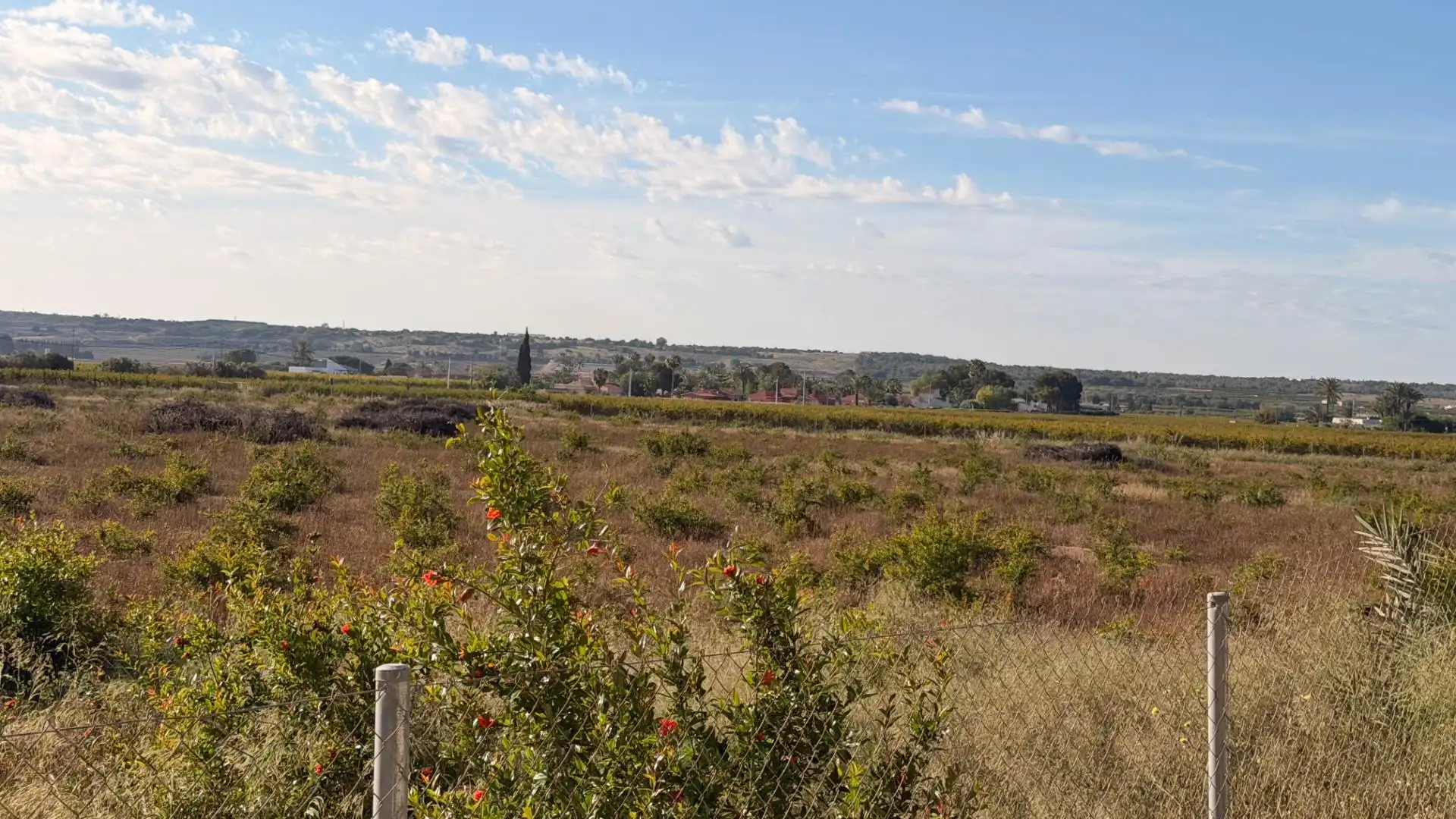 Residencial en venta en Elche / Elx