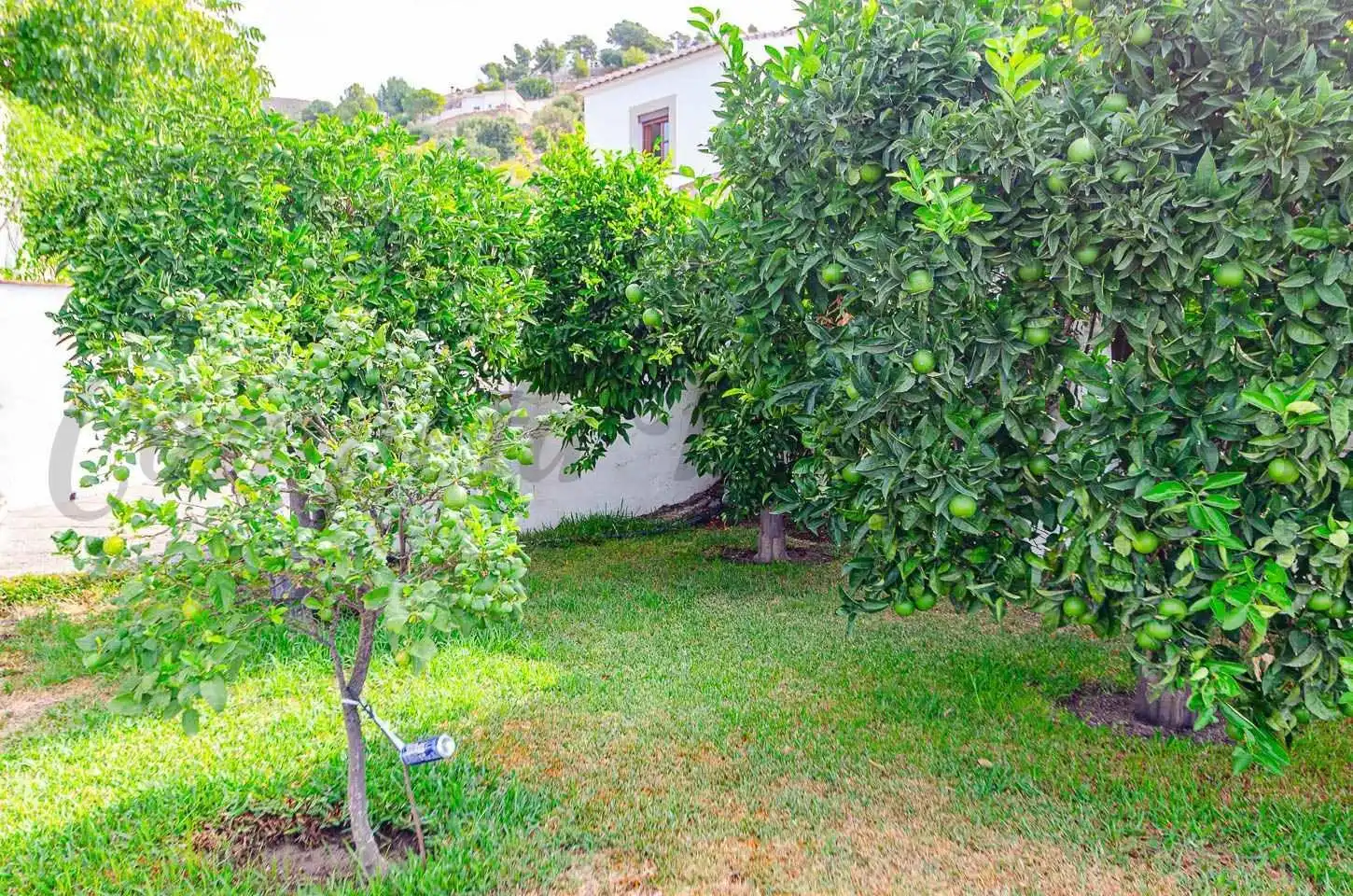 Houses for sale in Canillas de Albaida, Málaga