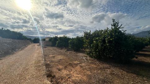 Foto 5 de Residencial en venta en Marjals, 282, Ondara, Alicante