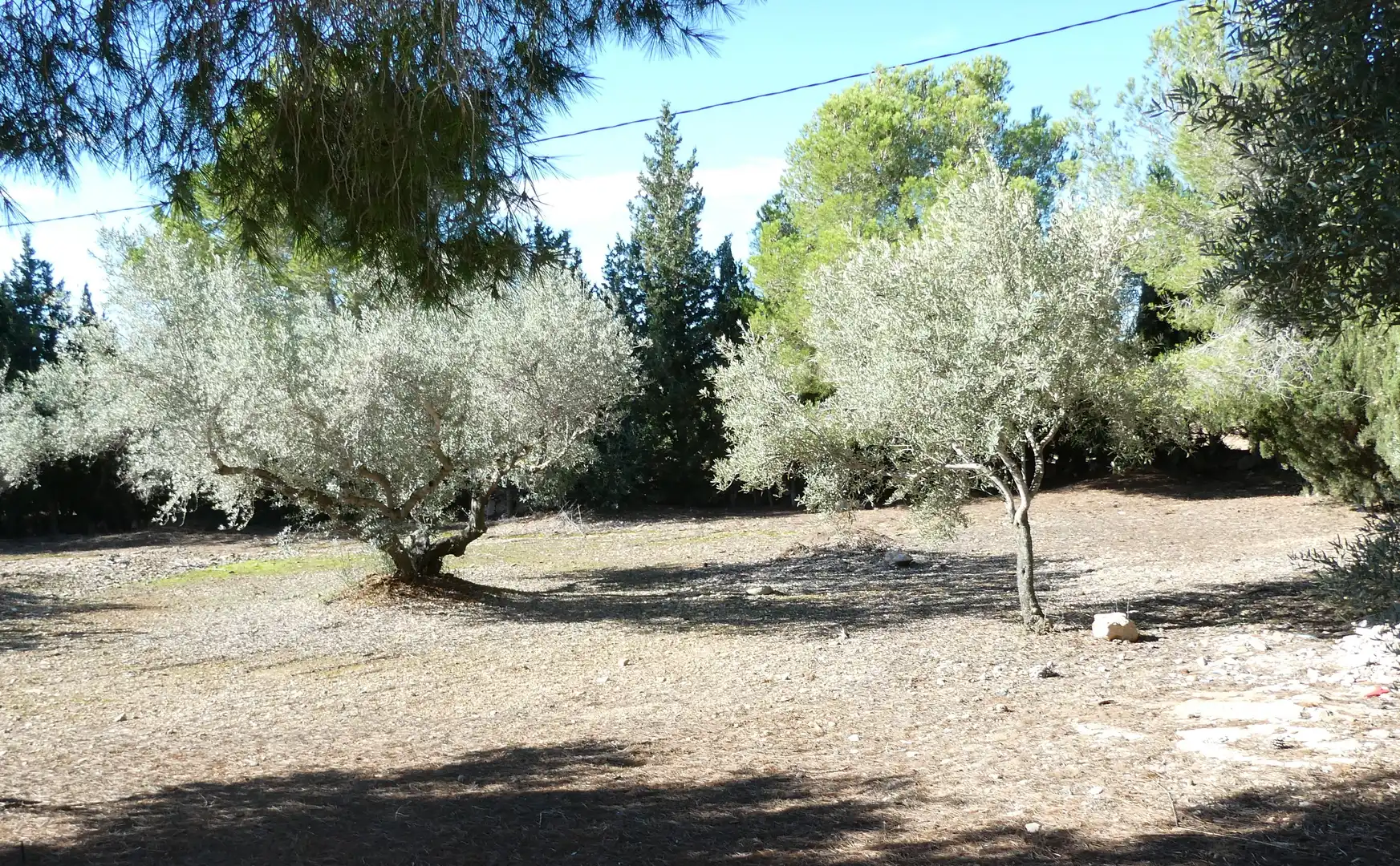Finca rústica en venda en L'Ampolla amb Aire condicionat, Jardí privat i Piscina