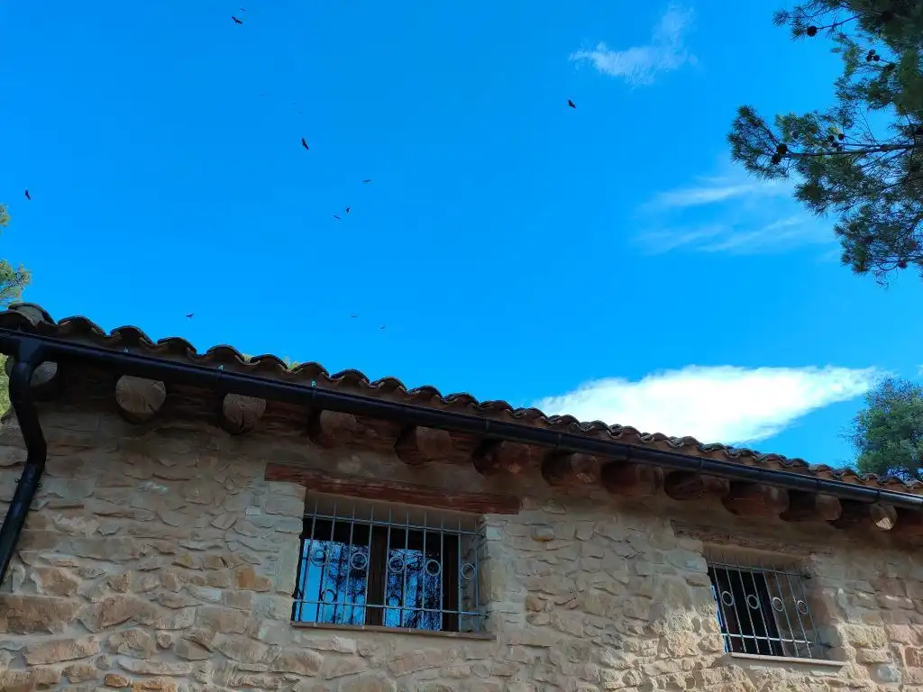 Country homes for sale in Fuentespalda