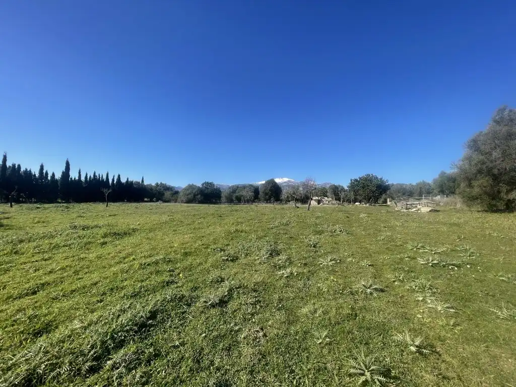 Terrain rustique à vendre à Selva, imagen 9