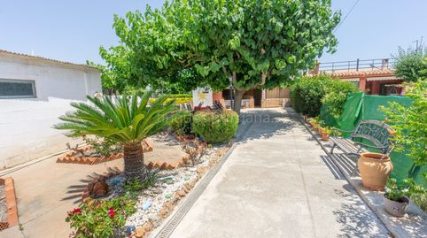 Foto 5 de Casa o xalet en venda a Piscinas, Burriana / Borriana