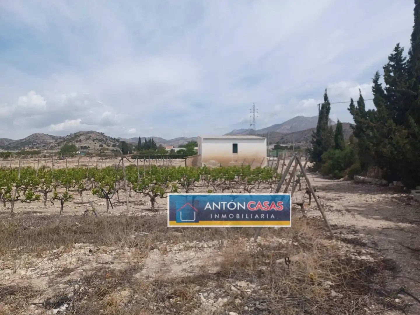 Terreny rústic en venda a Novelda